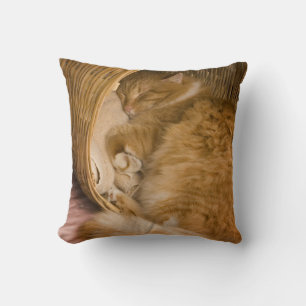 Almofada Comprimido laranja dormindo no hamper
