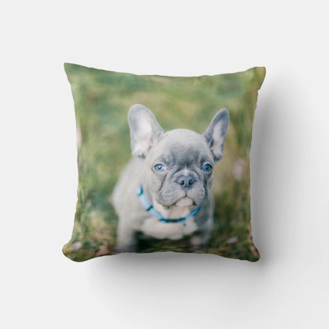 Almofada Conjunto de um Bulldog Francês (Frente)