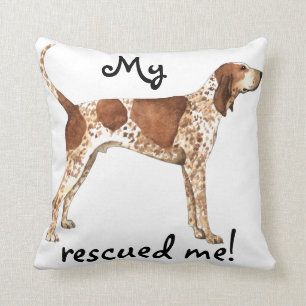 Almofada Coonhound do inglês americano do salvamento