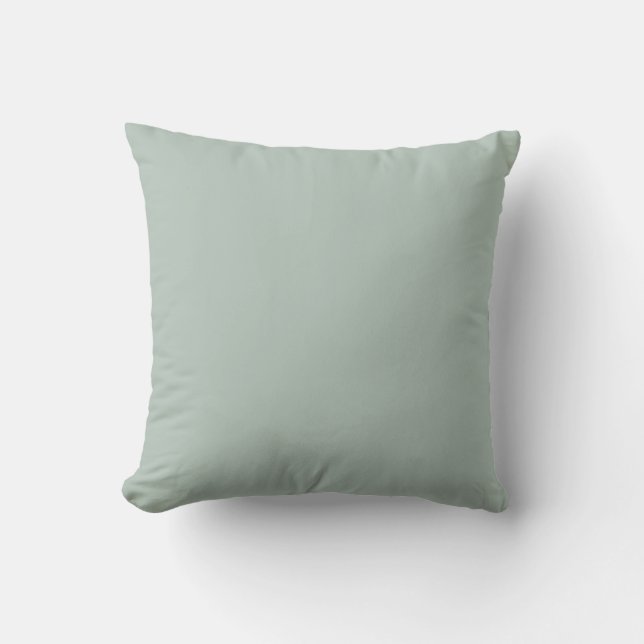 Almofada Cor Verde Eucalipto Suave (Frente)