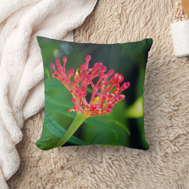 Almofada Coral Bush na floração (Cobertor)