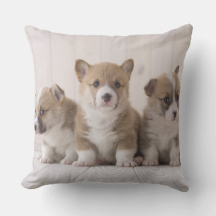 Almofada Corgi de três Galês