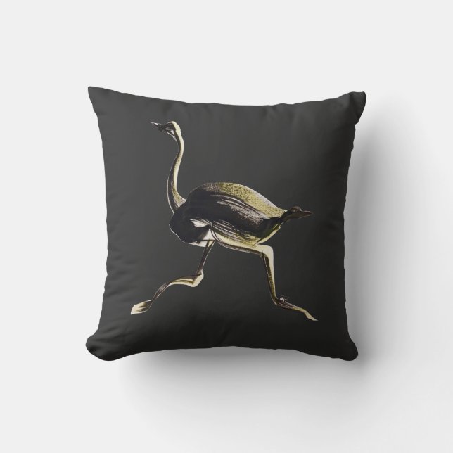 Almofada Corredor da avestruz (Frente)