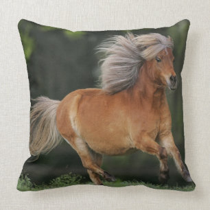 Almofada Corredor diminuto do cavalo