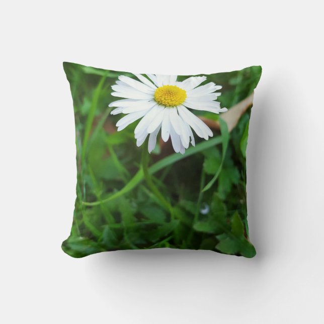 Almofada Coussin décoratif, marguerite, fleur  (Frente)