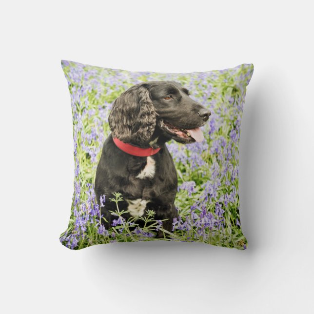 Almofada coxim com o spaniel preto nos bluebells (Frente)