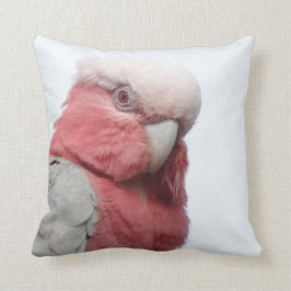 Almofada Coxim de Galah