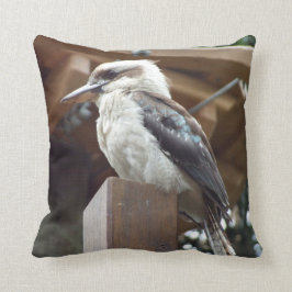 Almofada Coxim de Kookaburra