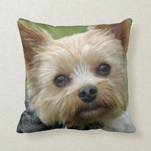 Almofada Coxim de Yorkie