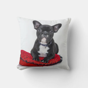 Almofada Coxim do buldogue francês