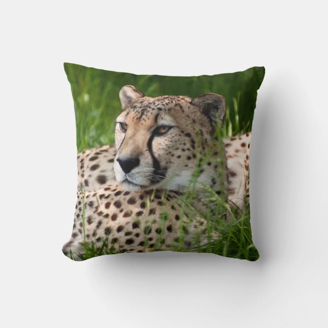 ALMOFADA COXIM DO TRAVESSEIRO DA CHITA (Frente)