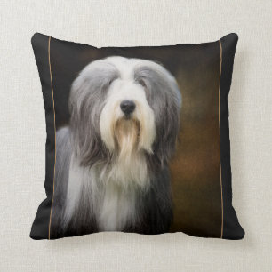 Almofada Coxim farpado do Collie