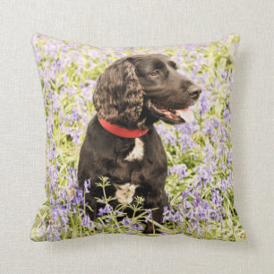 Almofada Coxim preto de cocker spaniel