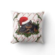 Criar sua foto do feriado