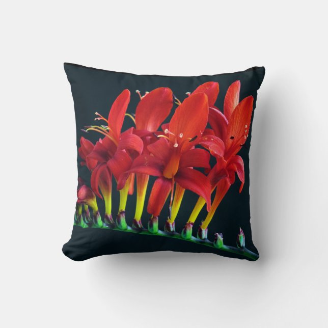 Almofada Crocosomia Lucifer Montbretia Floral (Frente)