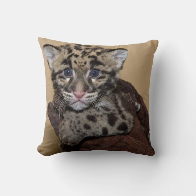 Almofada Cubo Leopardo Nublado (Frente)