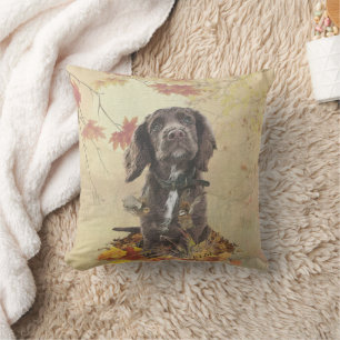 Almofada Cupão de chocolate spaniel