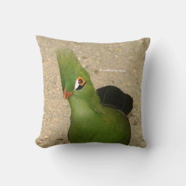 Almofada Curiosa Guiné Turaco Green Pássaro