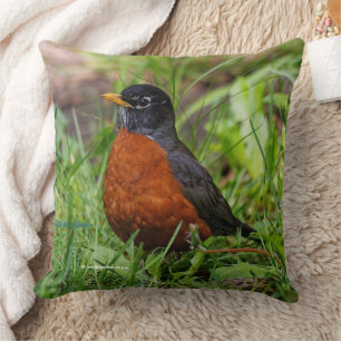 Almofada CuriosoAmericano Robin Songbird na Grama