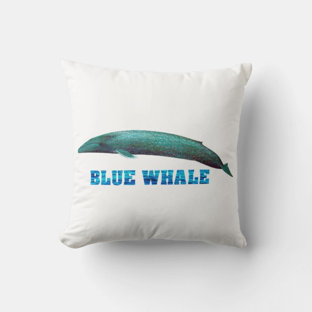 Almofada Cushion (Frente)