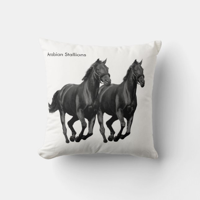 Almofada Cushion (Frente)