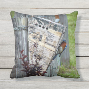 Almofada  Cushion ao ar livre