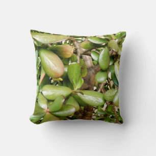 Almofada Cushion Crassula ovata