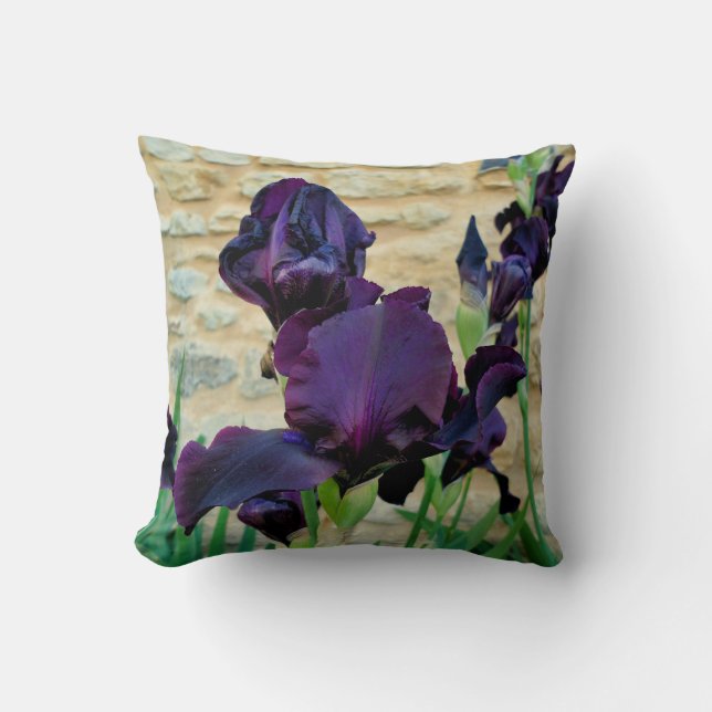 Almofada Cushion de lança-íris com barba (Frente)