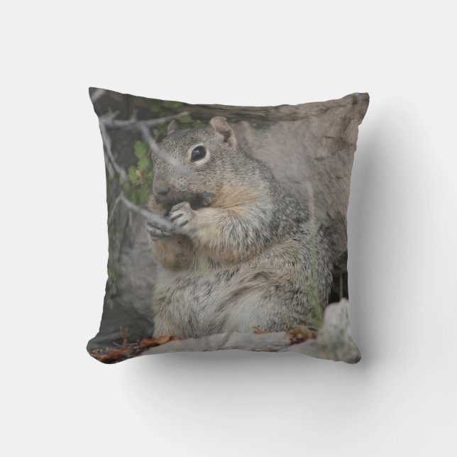 Almofada Cushion de Lançamento de Esquilo Fecho (Frente)