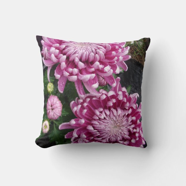 Almofada Cushion floral floral do Chrysanthemum Rosa Escuro (Frente)