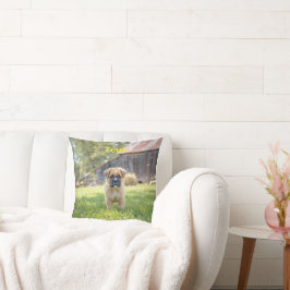 Almofada Cute Boxer Puppy Personalizado
