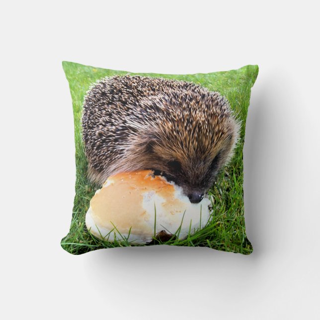 ALMOFADA CUTE HEDGEHOG (Frente)