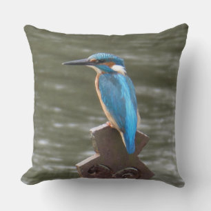 Almofada Cute Kingfisher