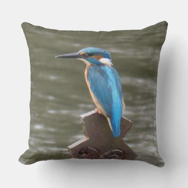 Almofada Cute Kingfisher (Frente)