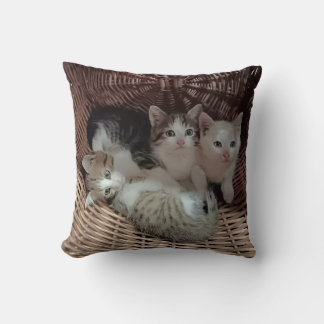 Almofada Cute Kittens in Basket Throw Pillow