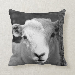 ALMOFADA CUTE LAMB
