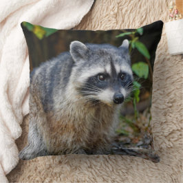 Almofada Cute Posing North American Raccoon