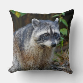 Almofada Cute Posing North American Raccoon