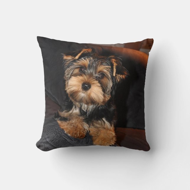 Almofada Cute Yorkshire Terrier Yorkie Puppy Dog Travesseir (Frente)