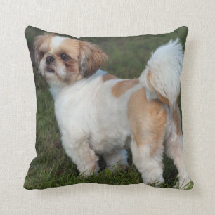 Almofada Cutest Shih Tzu