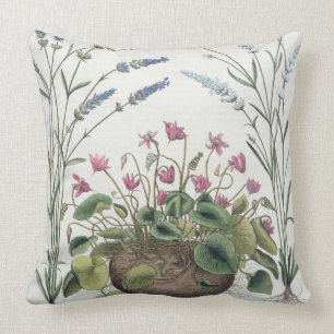 Almofada Cyclamen e lavanda: 1.Cyclamen Romanum; 2.Spica