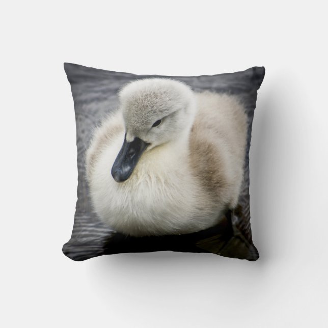 Almofada Cygnet da cisne | do bebê (Frente)