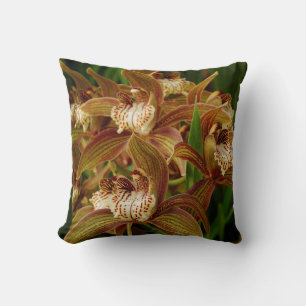 Almofada Cymbidium tracyanum