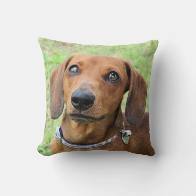 Almofada Dachshund (Frente)