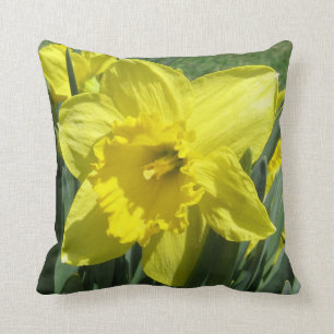 Almofada Daffodil bonito