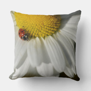 Almofada Daisy E Um Ladybug