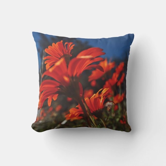 Almofada Daisy Flowers Laranja Blue Cushion Travesseiro dec (Frente)