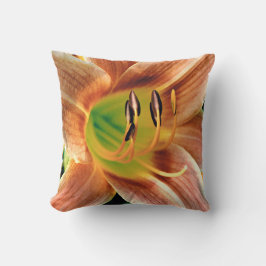 Almofada Daylily Macro