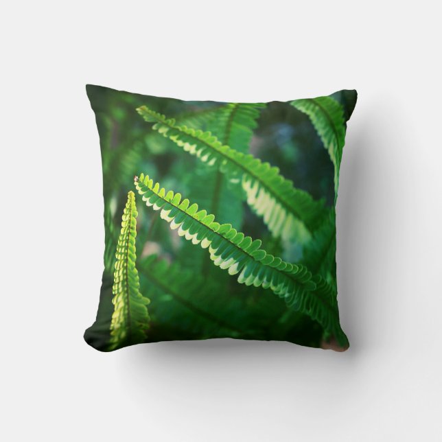 Almofada de folhas de planta samambaia verde ensol (Frente)