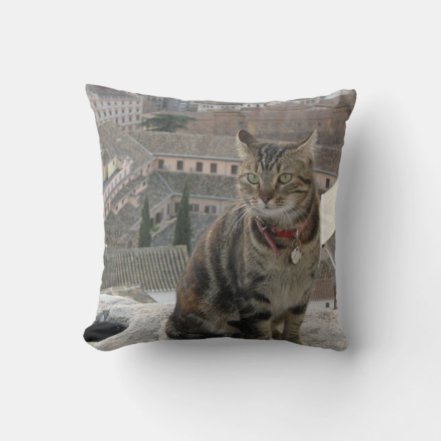 Almofada de gato 41 cm x 41 cm (Frente)